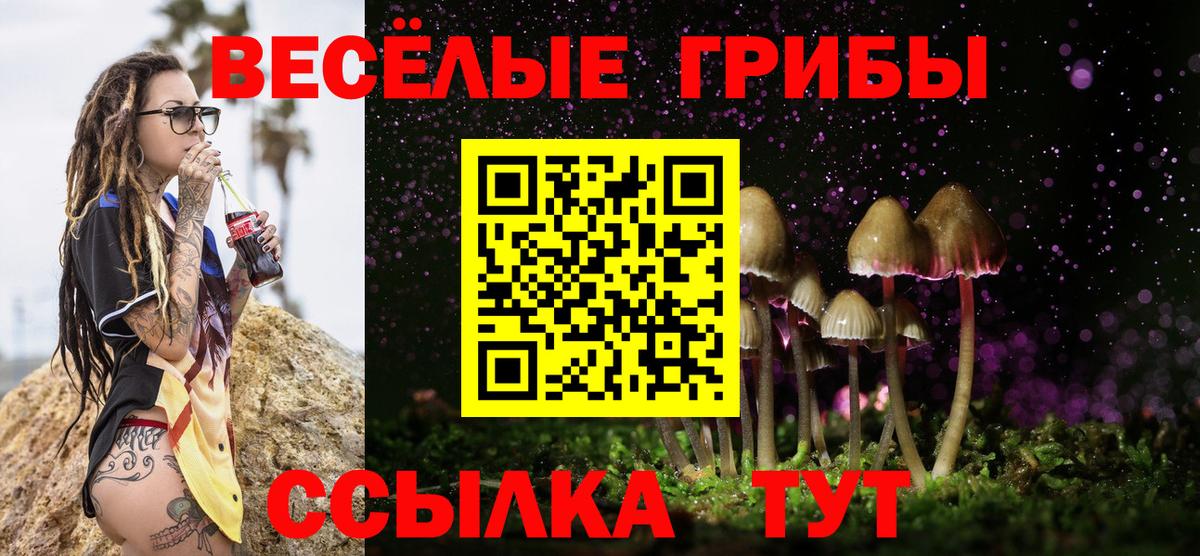 Галлюциногенные грибы GOLDEN TEACHER Удомля